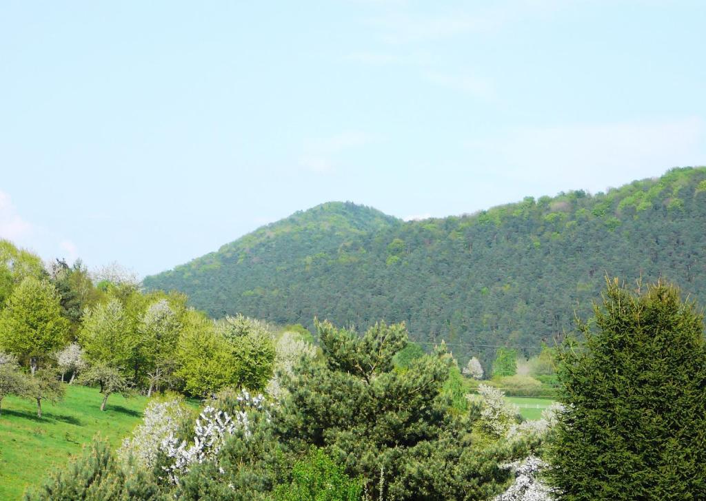 Zum Ochsen Hotell Hauenstein Exteriör bild